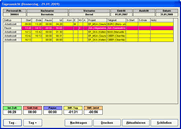 TIMEREC-Client - Tagesansicht